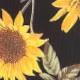 Floral Preto