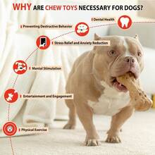 Willjoy Dog Chew Toys For Aggressive Chewers, Tough Dog Toys For Aggressive Chewers, Pine Wood And Nylon Indestructible Dog Toy, Bacon Flavor Large Dog Toys To Keep Them Busy - 3 件裝 DuraDumbs - 查看 8
