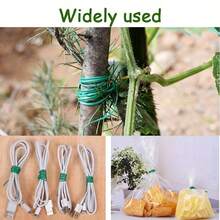 20/50m Gardening Flowers And Trees Climbing Cane Fixed Line Garden Lace Up Wire Twist Ties Binding Climbing Plants - Cable Ties - View 11