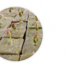 1 Set de macetas sin tierra - Fieltro transpirable y estera de lana de roca, adecuado para jardinería interior, hidroponía, aeroponía, sin necesidad de fertilizante - Regalo de Navidad