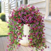 Purple Red Light Purple