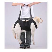 1pc Pet Elderly/Disabled Dog Rehabilitation Walking Assist Reflective Harness. Suitable For Elderly Or Disabled Dogs That Need Mobility Assistance. Durable And Adjustable Shoulder Straps Ensure Secure Fit. Helps With Standing, Walking And Climbing Stairs During Recovery. - Multicolor - View 4