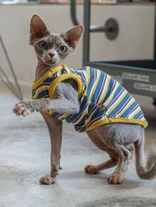 Maillard Color Pet Clothes For Hairless Cats, Sphynx & Devon Rex Cats, Elastic Criss-Cross Striped Elastic Vest, Summer - Blue - View 19