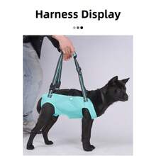 1pc Pet Elderly/Disabled Dog Rehabilitation Walking Assist Reflective Harness. Suitable For Elderly Or Disabled Dogs That Need Mobility Assistance. Durable And Adjustable Shoulder Straps Ensure Secure Fit. Helps With Standing, Walking And Climbing Stairs During Recovery. - Multicolor - View 8