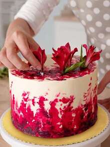 Baking And Pastry Trays