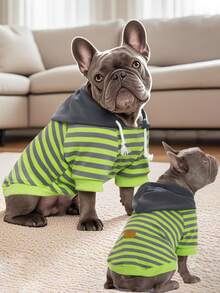 1 件基本款条纹宠物连帽衫，带精致皮革标签，适合中小型犬，柔软舒适的法国斗牛犬幼犬服装 - 橘色 - 查看 12