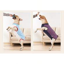 狗狗康复服腹部伤口小狗手术服术后背心宠物术后穿戴替代电子项圈和锥形 - 彩色 - 查看 2