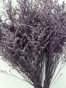 20/40/80/120克 20英寸橙黄色蒲苇干花束，波西米亚风婚礼装饰，秋冬花瓶填充物，适用于家居装饰、婚礼装饰、农舍造型、DIY工艺品、蒲苇装饰，非常适合圣诞节、万圣节派对