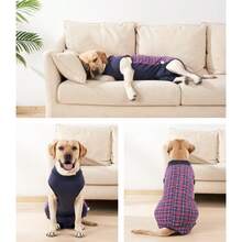 狗狗康复服腹部伤口小狗手术服术后背心宠物术后穿戴替代电子项圈和锥形 - 彩色 - 查看 5