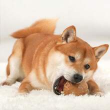 Willjoy Dog Chew Toys For Aggressive Chewers, Tough Dog Toys For Aggressive Chewers, Pine Wood And Nylon Indestructible Dog Toy, Bacon Flavor Large Dog Toys To Keep Them Busy - 2個裝 RollBalls - 查看 9
