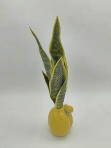 1pc仿真黄边虎皮兰植物人造蛇皮兰热带绿植剑兰假花桌面摆件家居盆景装饰（不含盆） - 綠色 - 查看 10