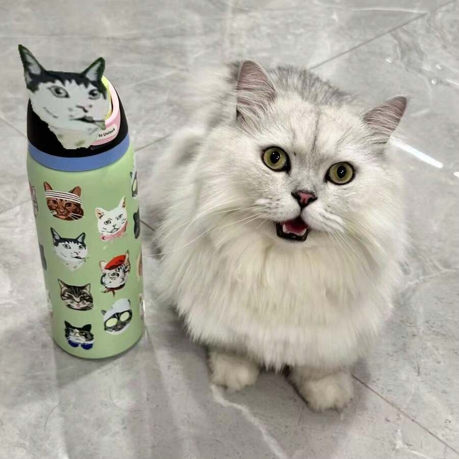 Original 24Oz/32Oz Limited Edition Water Bottle, Sports Water Bottle, Leakproof With Pop-Up Lid, Available In A Variety Of Colors, A Water Bottle Designed For Water Drinkers, Sui350table For Fitness, Running, School, Halloween, Thanksgiving Day, Christmas Day Gifts, Gift For Her, New Fashion Women Water Bottle For Women - 32 oz - Xem 1