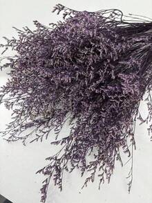 20/40/80/120克 20英寸橙黄色蒲苇干花束，波西米亚风婚礼装饰，秋冬花瓶填充物，适用于家居装饰、婚礼装饰、农舍造型、DIY工艺品、蒲苇装饰，非常适合圣诞节、万圣节派对