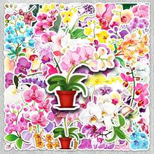 50 pièces Autocollants de graffitis d'orchidées papillon, autocollants décoratifs floraux frais et créatifs, style Ins pour la décoration murale, la décoration de chambre, les autocollants muraux, la décoration d'intérieur