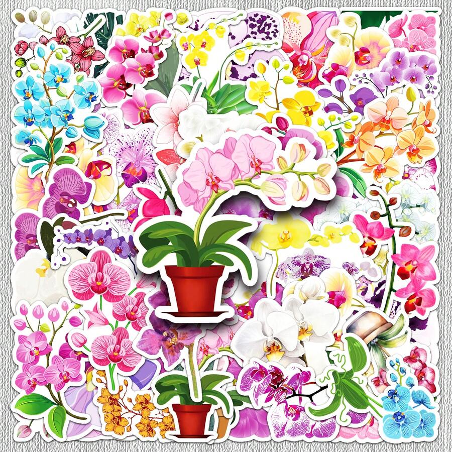 50 pièces Autocollants de graffitis d'orchidées papillon, autocollants décoratifs floraux frais et créatifs, style Ins pour la décoration murale, la décoration de chambre, les autocollants muraux, la décoration d'intérieur