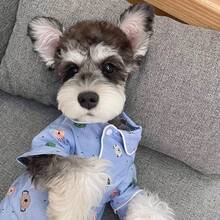 Camisa para mascotas disponible en 3 colores, camisa de primavera/verano para mascotas, ropa para perros/gatos para Schnauzer, Poodle, prendas de vestir para mascotas de moda y transpirables - Azul - Ver 10