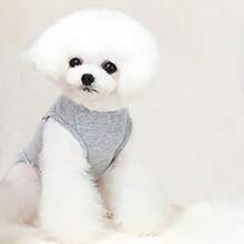 1 pièce Gilet respirant pour animaux de compagnie, petit et grand chien, chat, caniche, bouledogue imprimé "J'aime Maman", automne/hiver