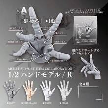 New Ultra-Soft Articulated Right Hand Model, 1/2 Knuckle Movable, Painting Mannequin, Posable Doll, Birthday/Christmas/Halloween Gift, Perfect Present - Multicolor - View 2
