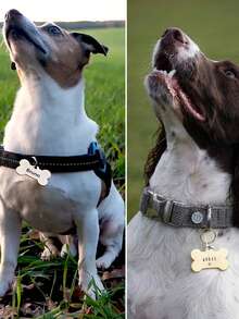 1pc Customized Pet Dog Tag, Fashionable Personalized Double-Sided Deep Engraved Cat & Dog Tag, Personalized Cat & Dog Puppy Pet ID Pendant, Collar Pendant - Multicolor - View 8
