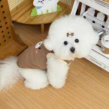 Canotta con blocchi di colore a motivo orsetto, abiti per animali domestici caldi per autunno/inverno, motivo carino a cartone animato di orso, morbido e elastico, adatto per cani di taglia piccola e media