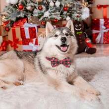 2025 新款 1 件圣诞狗项圈带蝴蝶结水牛格子狗宠物项圈可调节适合小型中型大型犬 - 彩色 - 查看 1