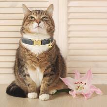 Customized- Velvet Nylon Personalized Cat Collar - Name Plate, Adjustable, Durable With Bell, Custom Engraved Pet Name & Phone Number, Without Battery - Multicolor - View 3