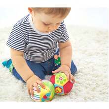 Fisher-Price Animal Cognitive Toy Ball Cognitive Baby Toys - Multicolor - View 3