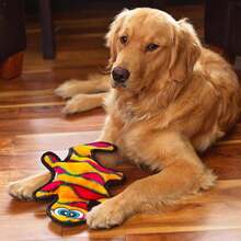 Outward Hound Durablez Large Gecko Stuffing-Free Squeaky Plush Dog Toy For Puppies &Amp; Dogs - Interactive, Soft Yet Tough, No Mess, Jumbo Squeaker, Long-Lasting Play, 175 Inch, Multicolor - MàuE - Xem 5