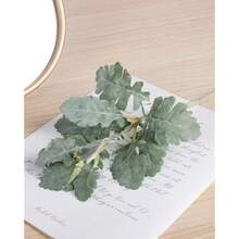 Faux Lambs Ear Stems Miller Fake Flocked Artificial Greenery For Home Wedding Bouquet DIY Craft Farmhouse Decor (6pcs, Silver Dusty Miller)-1272 - 綠色 - 查看 5