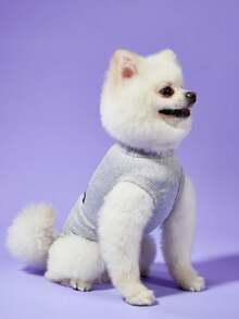 1 pièce Gilet respirant pour animaux de compagnie, petit et grand chien, chat, caniche, bouledogue imprimé "J'aime Maman", automne/hiver