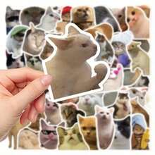 50pcs Funny Cat Sticker Set For Smartphone, Laptop, Water Bottle, Notebook And Other Waterproof Decorative Elements - 隨機 - 查看 4