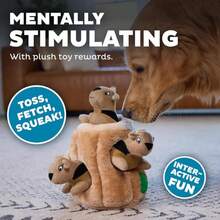 Outward Hound Hide A Squirrel Plush Dog Toy Puzzle, XL - ColorD - 查看 5