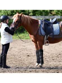 Horse Cooling Ice Boots, Cooling Equipment For Horse's Leg Joints, Ankles, Knees, Legs, Hooves, Gifts For Horse Riding Enthusiasts - Multicolor - View 3