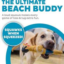Outward Hound By Charming Pet Squawkers Earl Latex Squeaky Rubber Chicken Dog Toy, Funny Interactive Holiday Toy For Dogs, Large Size - ColorA - View 2