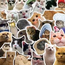 50pcs Funny Cat Sticker Set For Smartphone, Laptop, Water Bottle, Notebook And Other Waterproof Decorative Elements - 隨機 - 查看 2