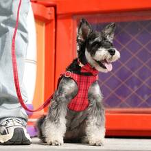 1 Set Adjustable Bow Plaid Dog Harness & Leash Set, Pet Leash & Chest Strap, Cute Pet Supplies Dog Accessories - Multicolor - View 4