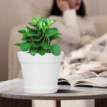 8/16 Sets Flower Pots With Tray For Plants, 6 In Thick Plastic Planters With Multiple Drainage Holes And Tray, Garden Containers Sets For Indoor & Outdoor House Plants, Seedling Starter Planters For Vegetable, Herbs, Garden Flowers (Black/White) - 白色 - 查看 7