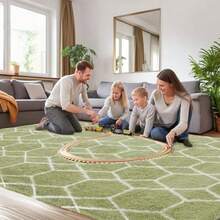 Fast LogisticsArea Rug For Living Room Bedroom 4X6 Feet Soft Shaggy Rug Plush Fluffy Rugs Modern Moroccan Geometric Carpets AntiSkid Durable Carpet For Dorm Nursery Green And WhiteFast Logistics