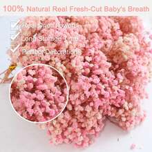 50/100支白色人造满天星花 - 精致耐用，易于DIY，适用于婚礼、家居和办公室装饰、派对和花园 - 桌面波西米亚风花环，无羽毛，无需用电，是圣诞节、感恩节和万圣节的理想圣诞装饰品，也是圣诞礼物和圣诞装饰的绝佳选择。