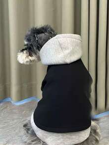 1 件黑灰撞色二合一宠物连帽衫，适合中小型犬和猫 - 彩色 - 查看 3