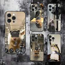 Funda de Teléfono de Hámster de Gimnasio Linda Compatible con  16,15,14,13,12,11,Pro,Max,Plus,X,XS,SE,E,Mini, Funda Negra de Silicona Suave, Compatible con Funda de  17, Funda de  17 Pro, Funda de  17 Pro Max - z5 - Ver 3