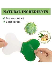 60/Pcs Waist Patch, Leg Shoulder Patch, Knee Joint Lumbar Patch, Daily Care Patch, Gentle And Non-Irritating, Can Be Given As A Gift To Relatives And Friends - Green - View 8