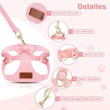 Standard Leashes - XS - View 4