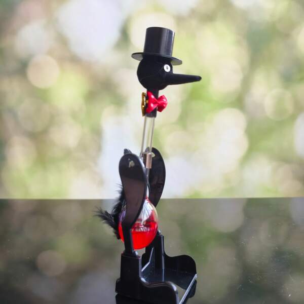 Ornements de bureau pour adolescents, oiseaux pour faire de l'exercice et boire de l'eau, pour soulager le stress. Sentiments novateurs, cadeaux pour les amis et la famille