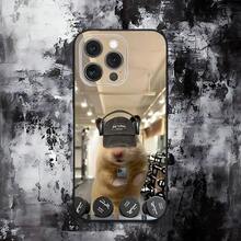 Funda de Teléfono de Hámster de Gimnasio Linda Compatible con  16,15,14,13,12,11,Pro,Max,Plus,X,XS,SE,E,Mini, Funda Negra de Silicona Suave, Compatible con Funda de  17, Funda de  17 Pro, Funda de  17 Pro Max - z5 - Ver 9