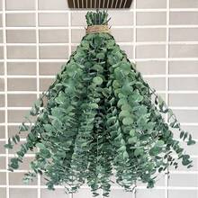 Eucalipto Real Preservado, Sepper 45cm% Natural Ramo de Eucalipto Verde para Decoración de Flores Secas y Decoración de Flores Duraderas para Arreglos de Bodas, Decoración de Hogar, Spa (17) - 17 - Ver 12