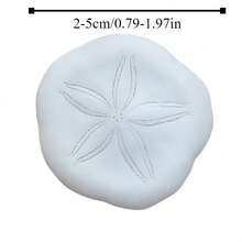 Muszla jeżowca z piaskiem – elegancka dekoracja domu, kreatywne ozdoby, ciasteczka z muszli w stylu nadmorskim