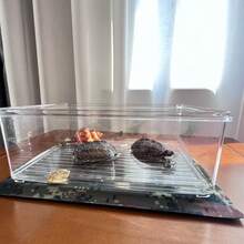 爬行动物和两栖动物加热垫 - 适用于乌龟、蜥蜴、狗和猫的防水宠物加热垫，耐咬、防漏设计，提供开关和非开关型号，适用于小型/中型/大型宠物 - 彩色 - 查看 3