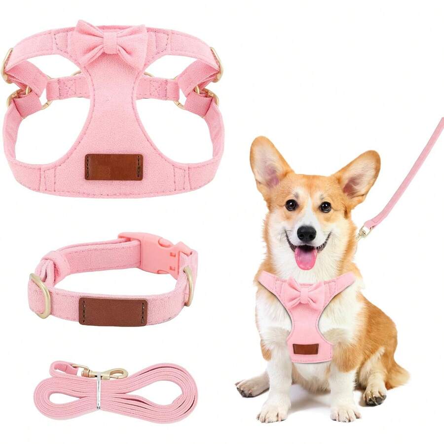 Standard Leashes - XS - View 1
