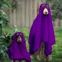 1pc Halloween Pet Dog Dress Up Ghost Cosplay Sheet COSPLAY Pet Accessories Halloween Halloween Costumes - White - View 9